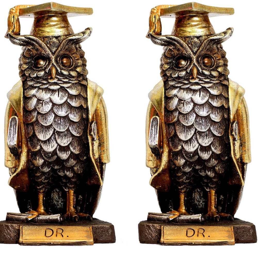 Pair of Dr. Owl Lucky Charm Graduation Gift for Her | Grad Gift for Daughter